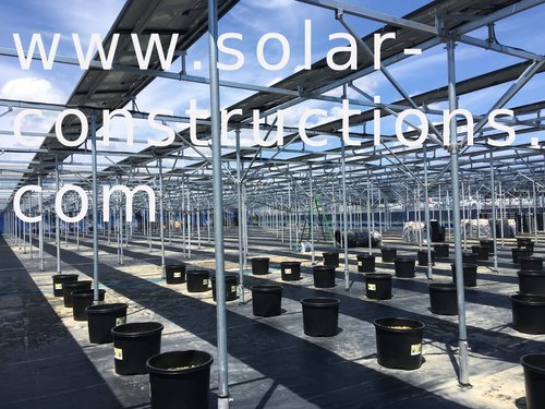 agricultuur solar planten onder zonnepanelen landbouw agri pv